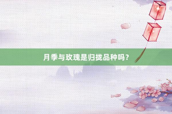 月季与玫瑰是归拢品种吗？