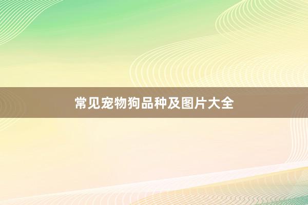 常见宠物狗品种及图片大全